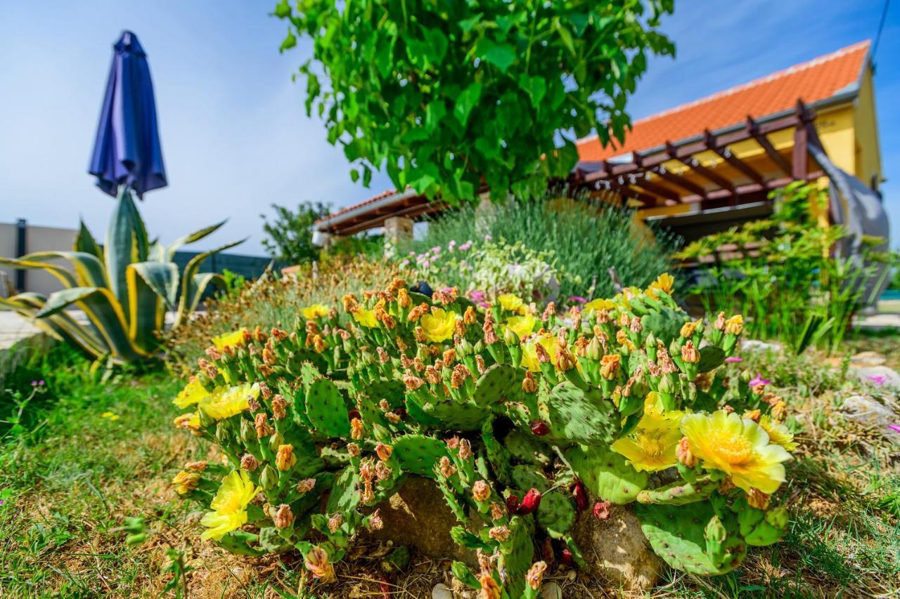 Вилла Sunny House Smokovic Экстерьер фото